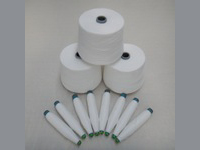 10s 滌綸竹節(jié)紗 機(jī)織